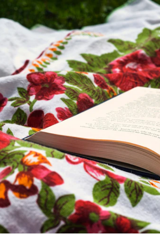 screenshot 2026 03 03 221718